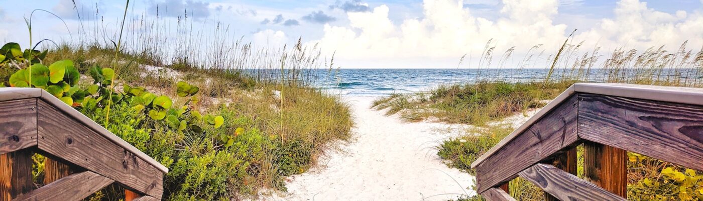 6 Things You Need to Do When Visiting Anna Maria Island, FL